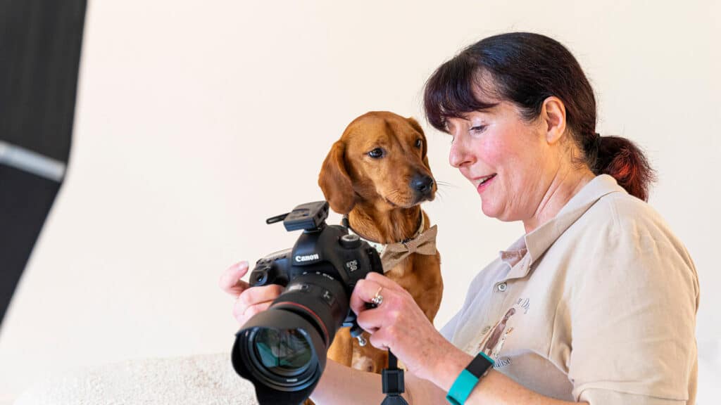Photographer showing a dog a photo of itself on a camera