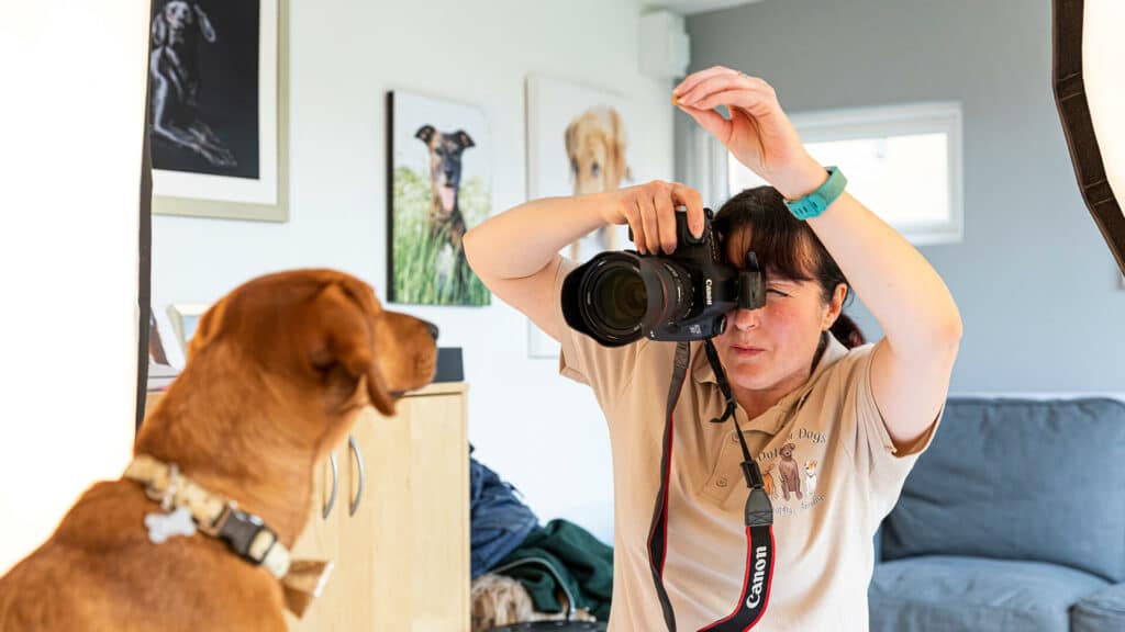 Photographer taking a photo of a dog