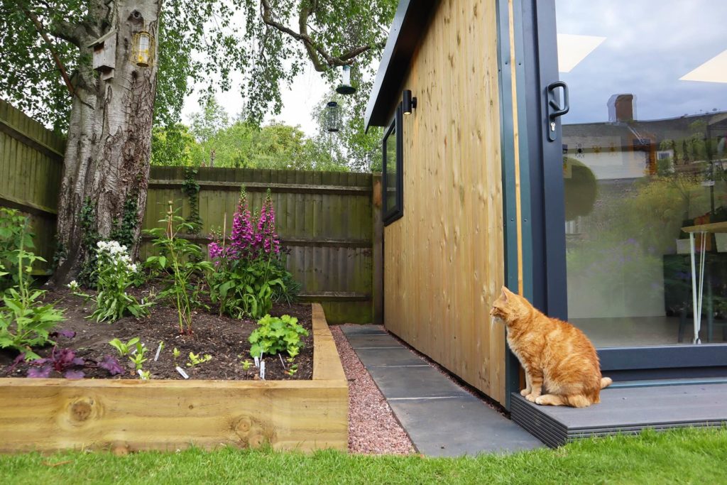 Side view of garden room shows side window detail with flower bed and a ginger cat sat at the side of the photo